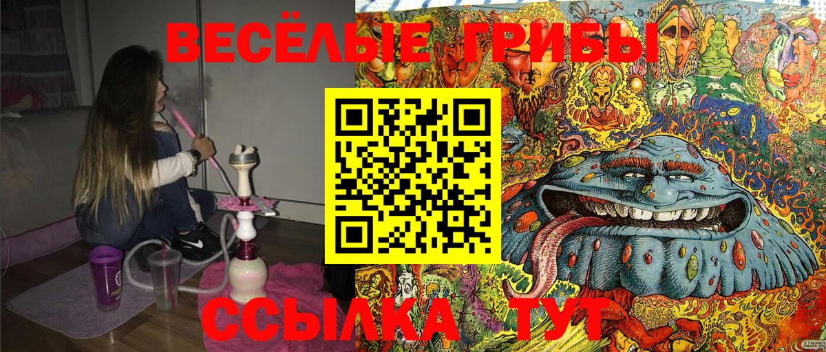 Галлюциногенные грибы ЛСД  Галлюциногенные грибы Magic Shrooms  Верхняя Пышма  продажа наркотиков  Вход с VPN 